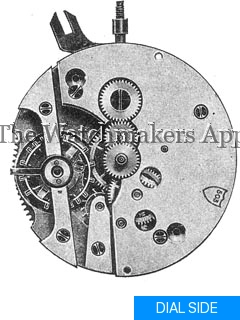 Orator 503