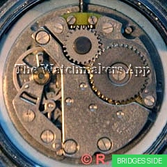 Parrenin 2641D