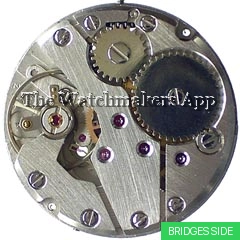 Parrenin Z170