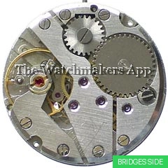 Parrenin Z175A