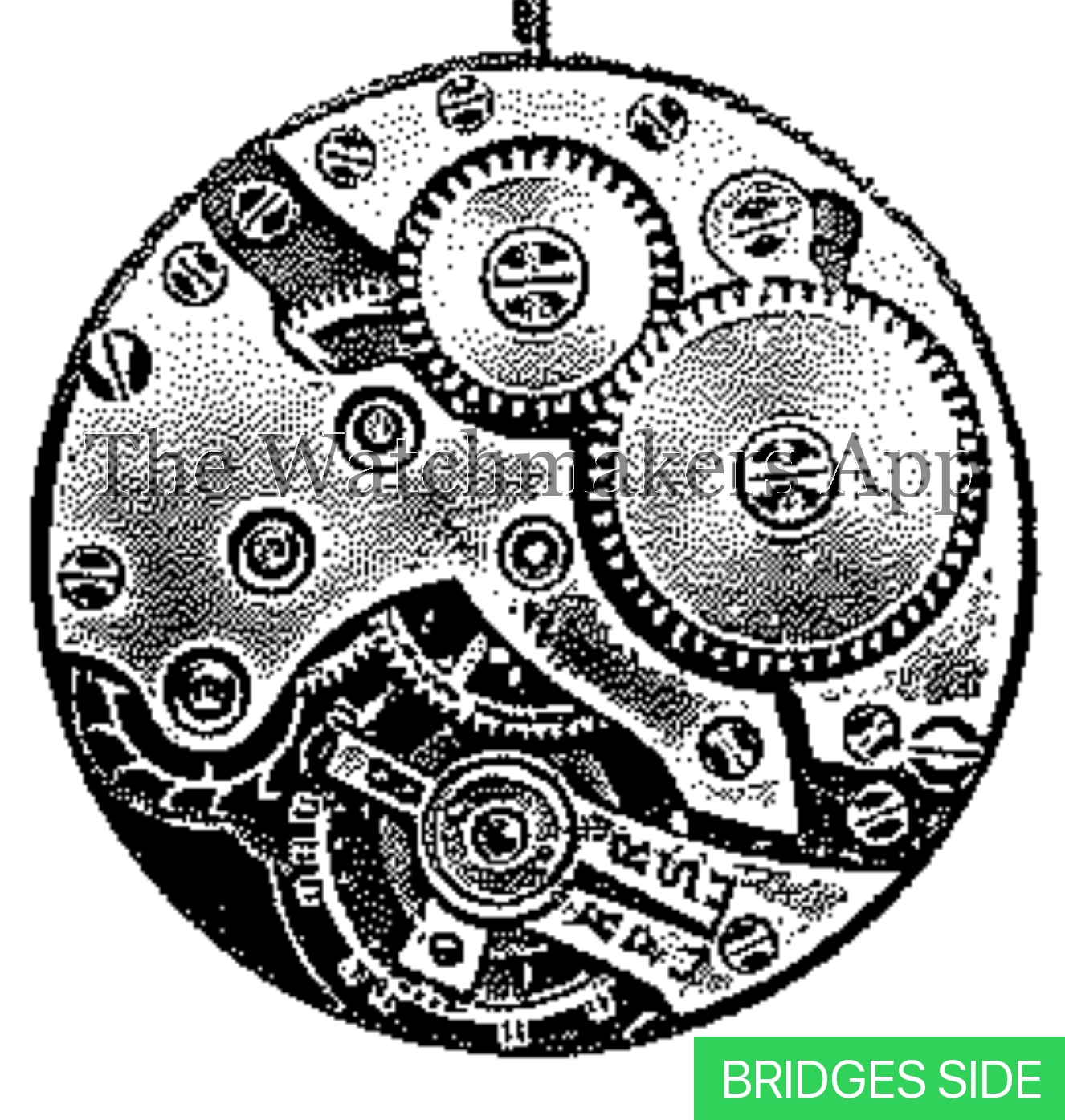 Peseux 41