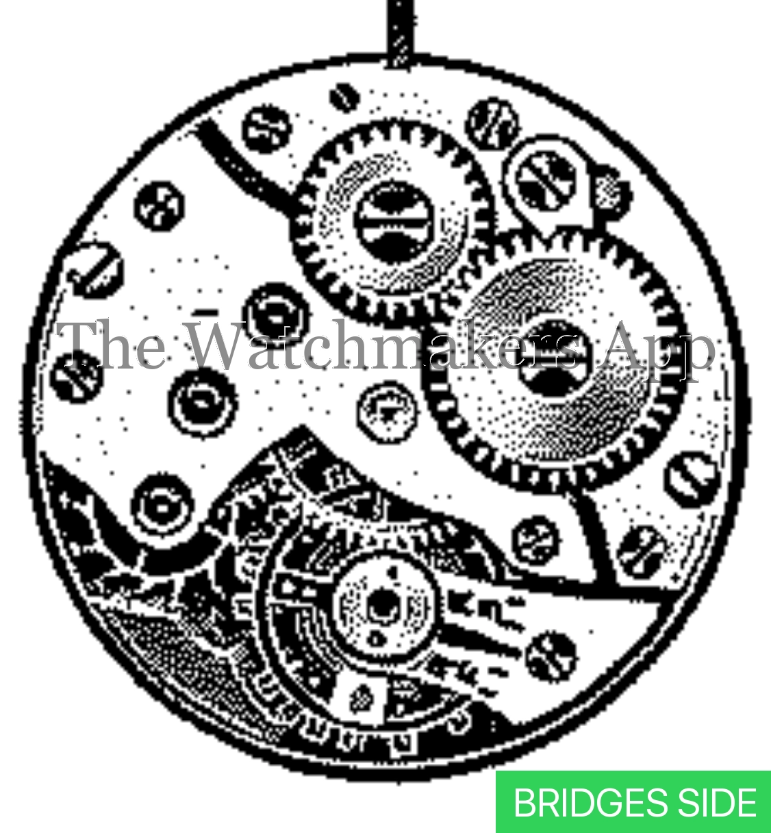 Peseux 81