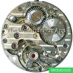 Phenix 116