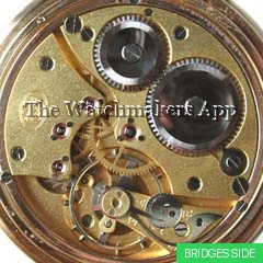 Revue 30, hunter