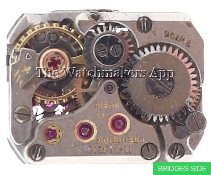 Rolex 100