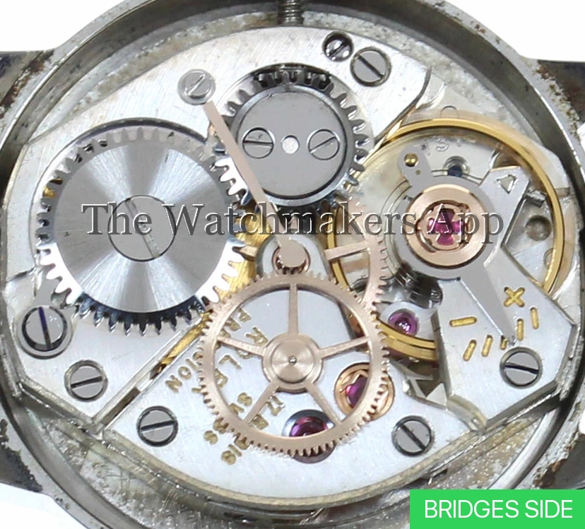 Rolex 1310
