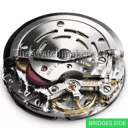 Rolex 2231