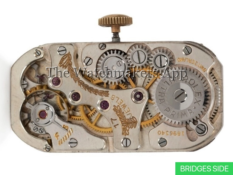 Rolex 300