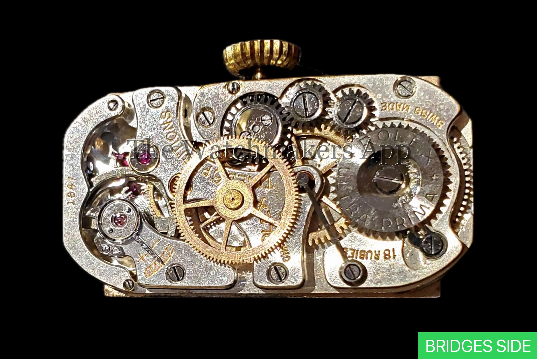 Rolex 310