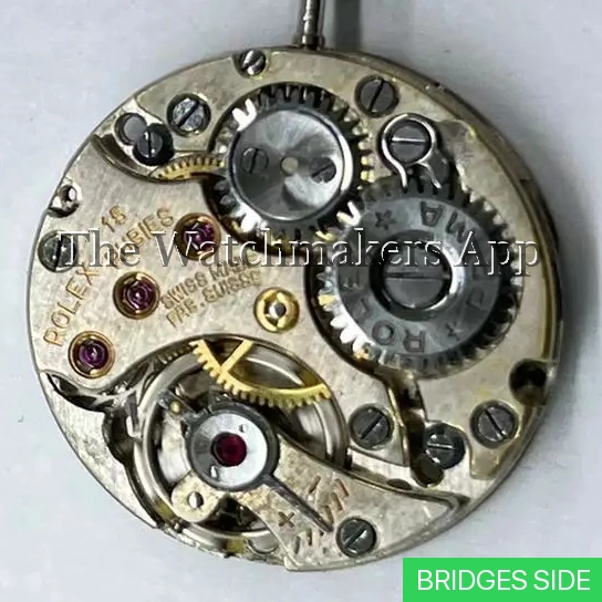 Rolex 500