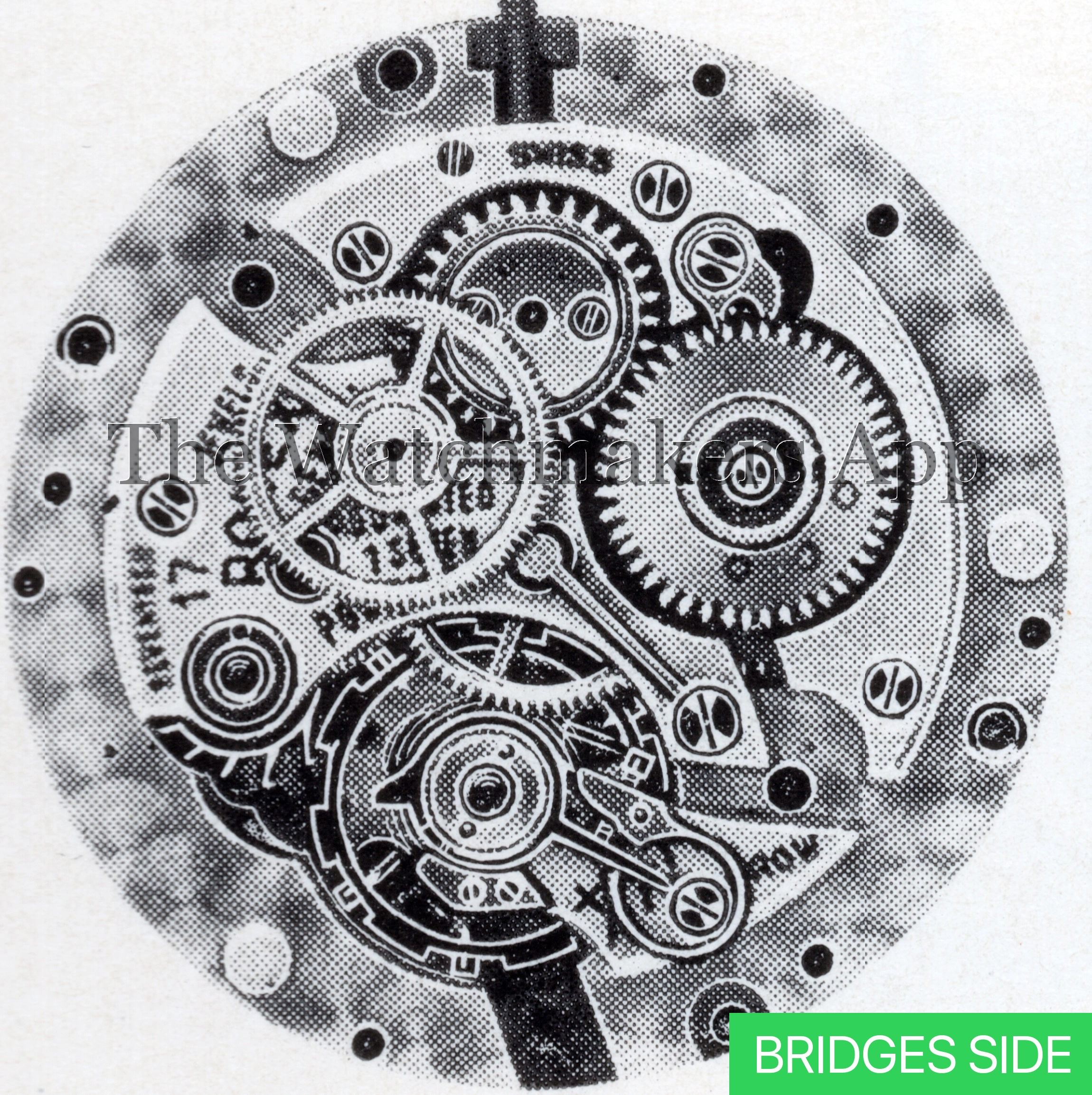 Rolex 530