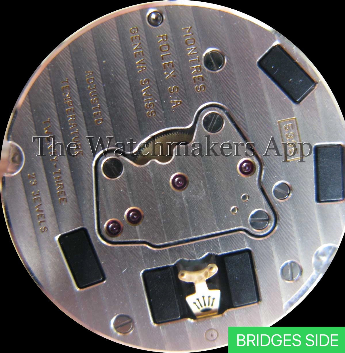 Rolex 5335