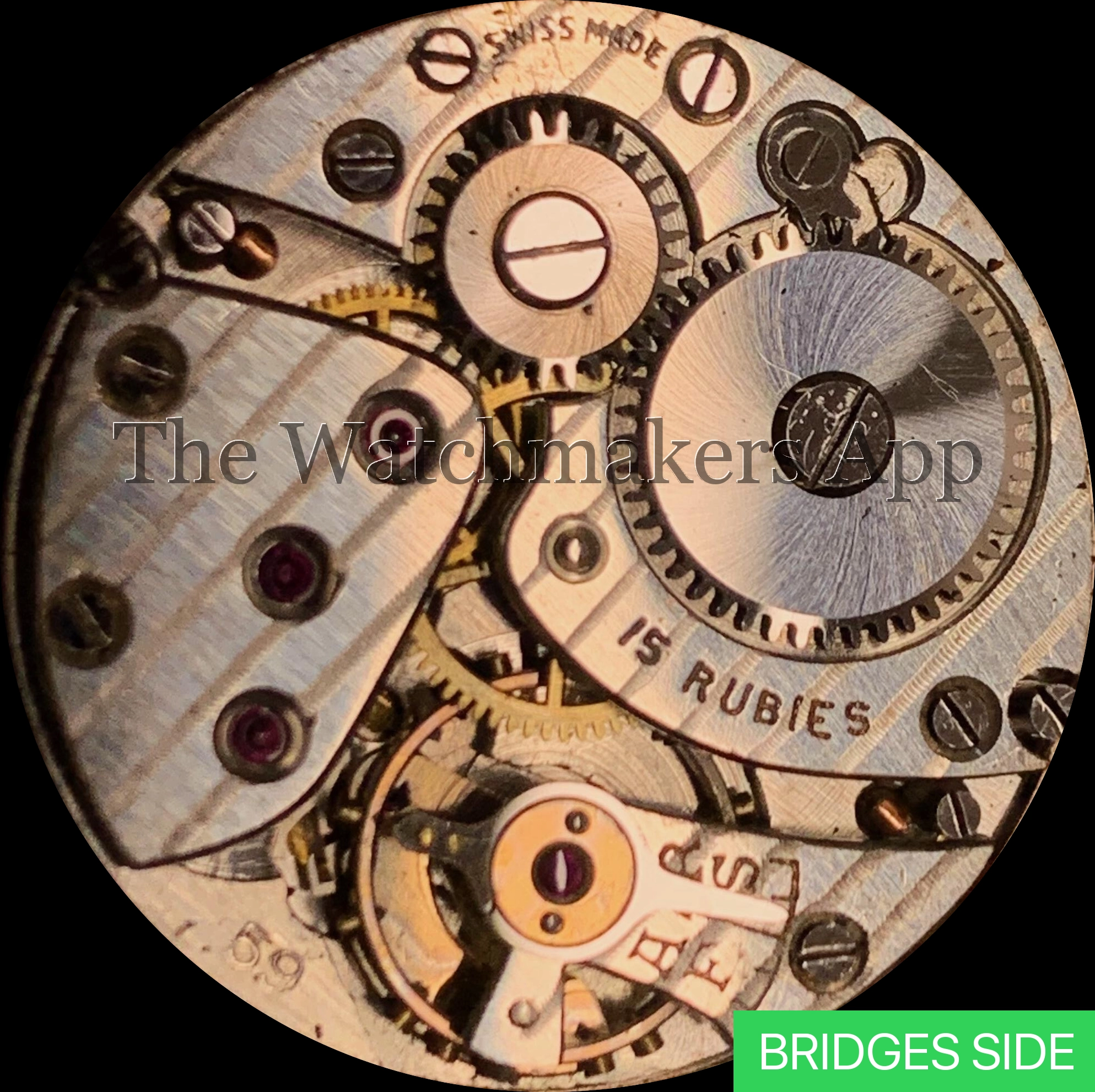 Rolex 59