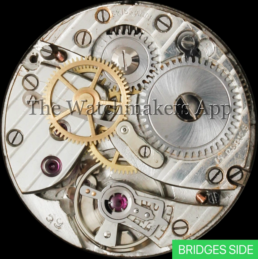 Rolex 59, CS