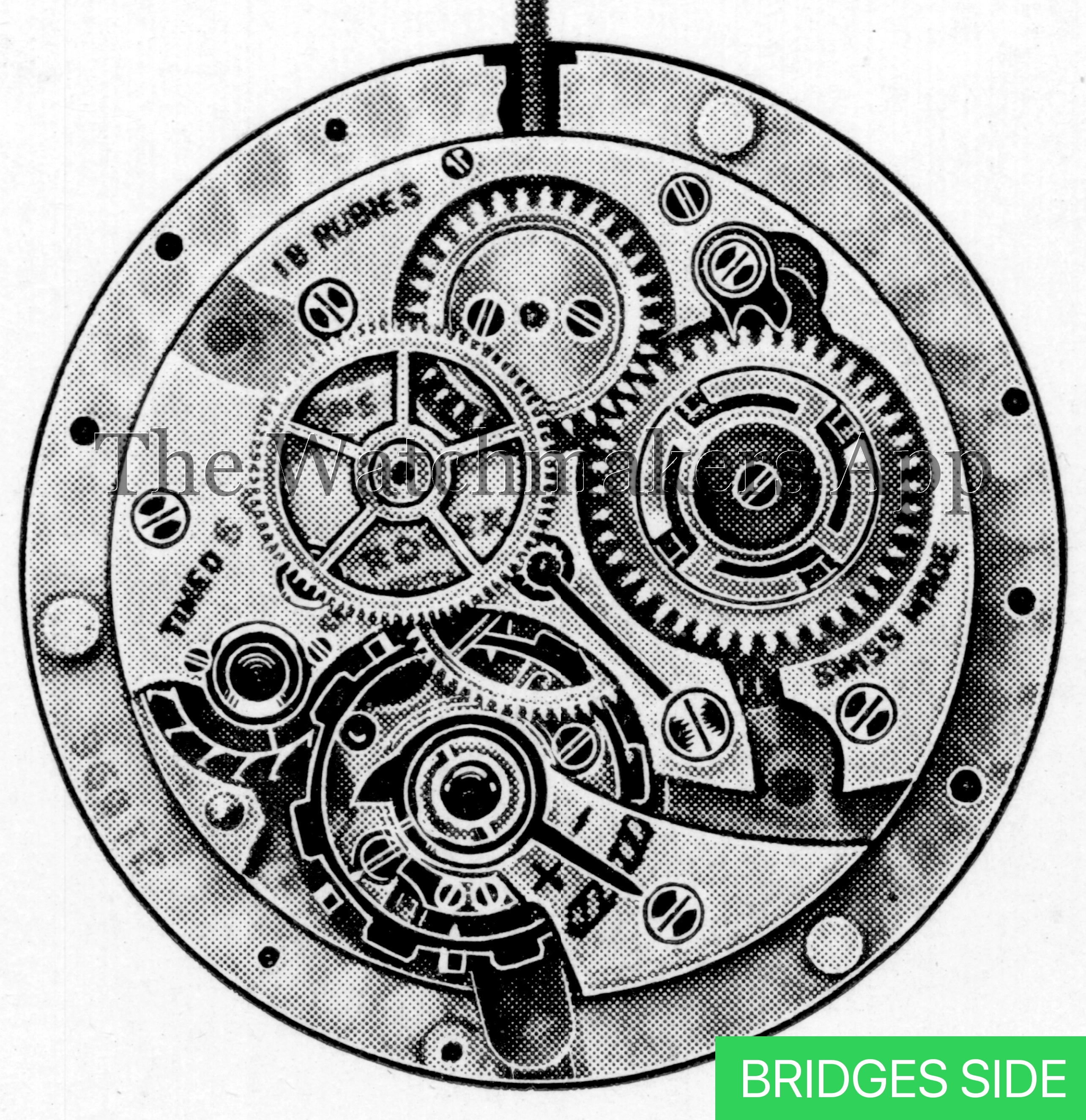 Rolex 645