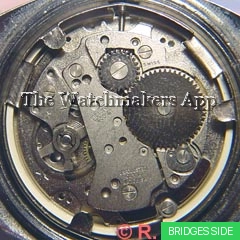 Ronda 1253-21