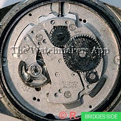 Ronda 317A