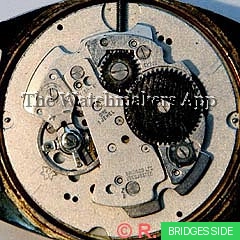 Ronda 317P