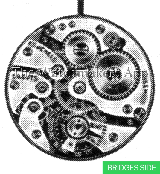 Tavannes 301