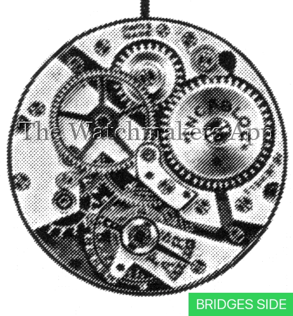 Tavannes 38-1
