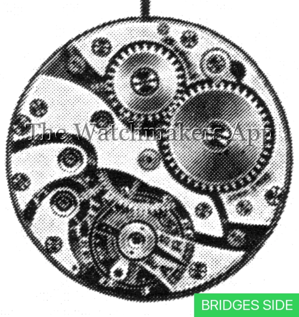 Tavannes 41
