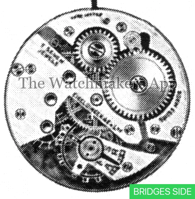 Tavannes 42