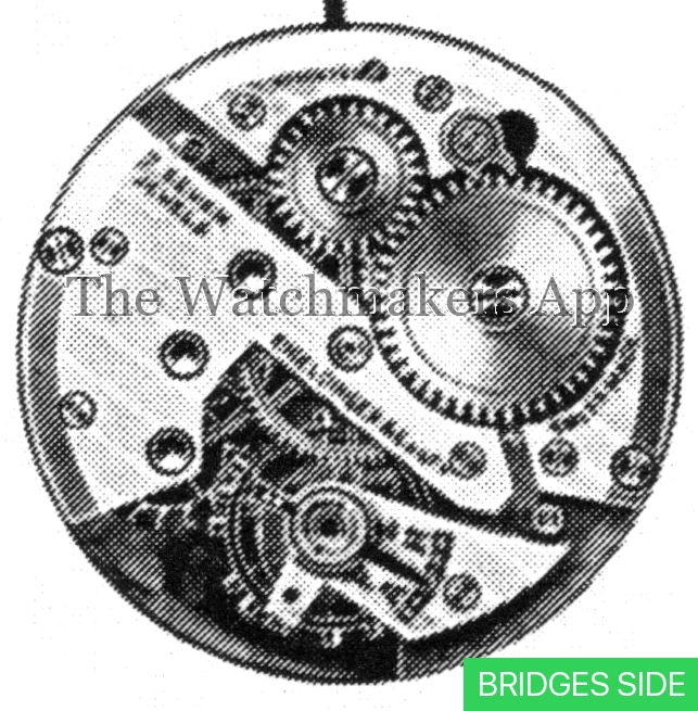 Tavannes 43