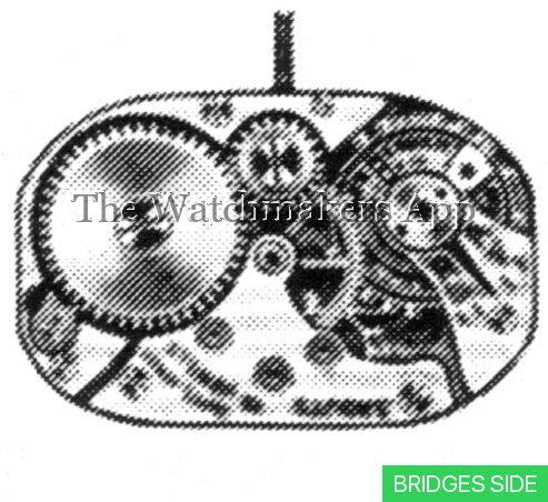 Tavannes 525