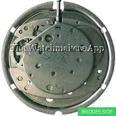 Timex M105