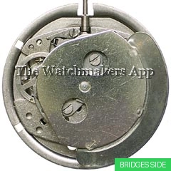 Timex M107