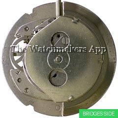Timex M31