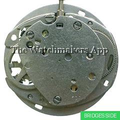 Timex M81