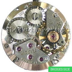 Tudor 2411