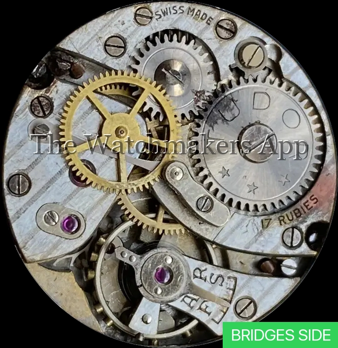 Tudor 59, SC