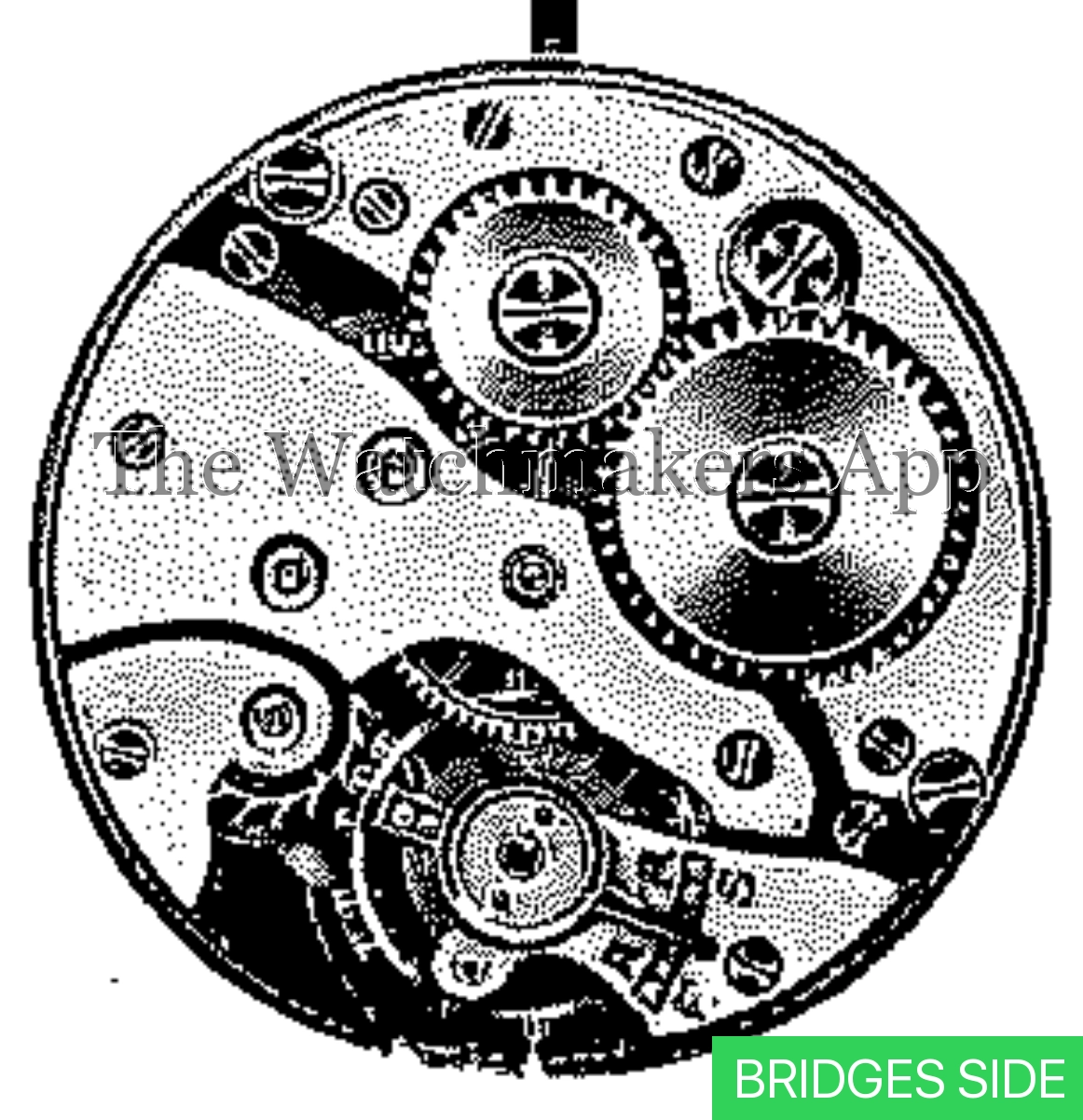 Unitas 156