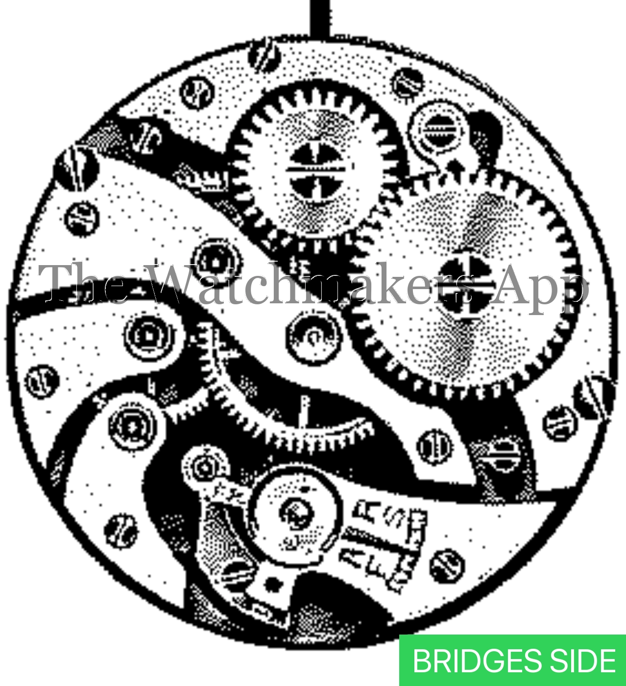 Venus 106