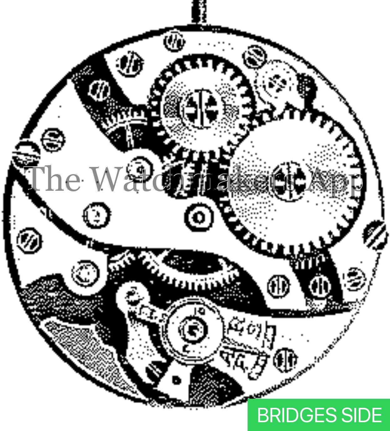 Venus 110