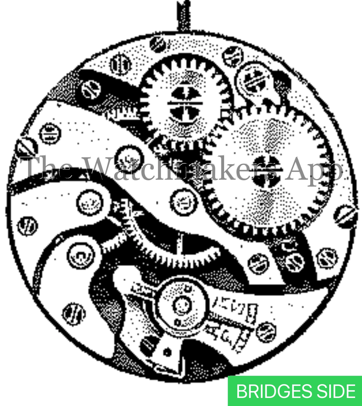 Venus 111