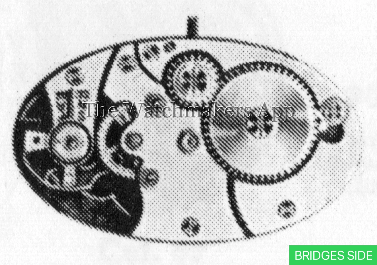 Venus 115
