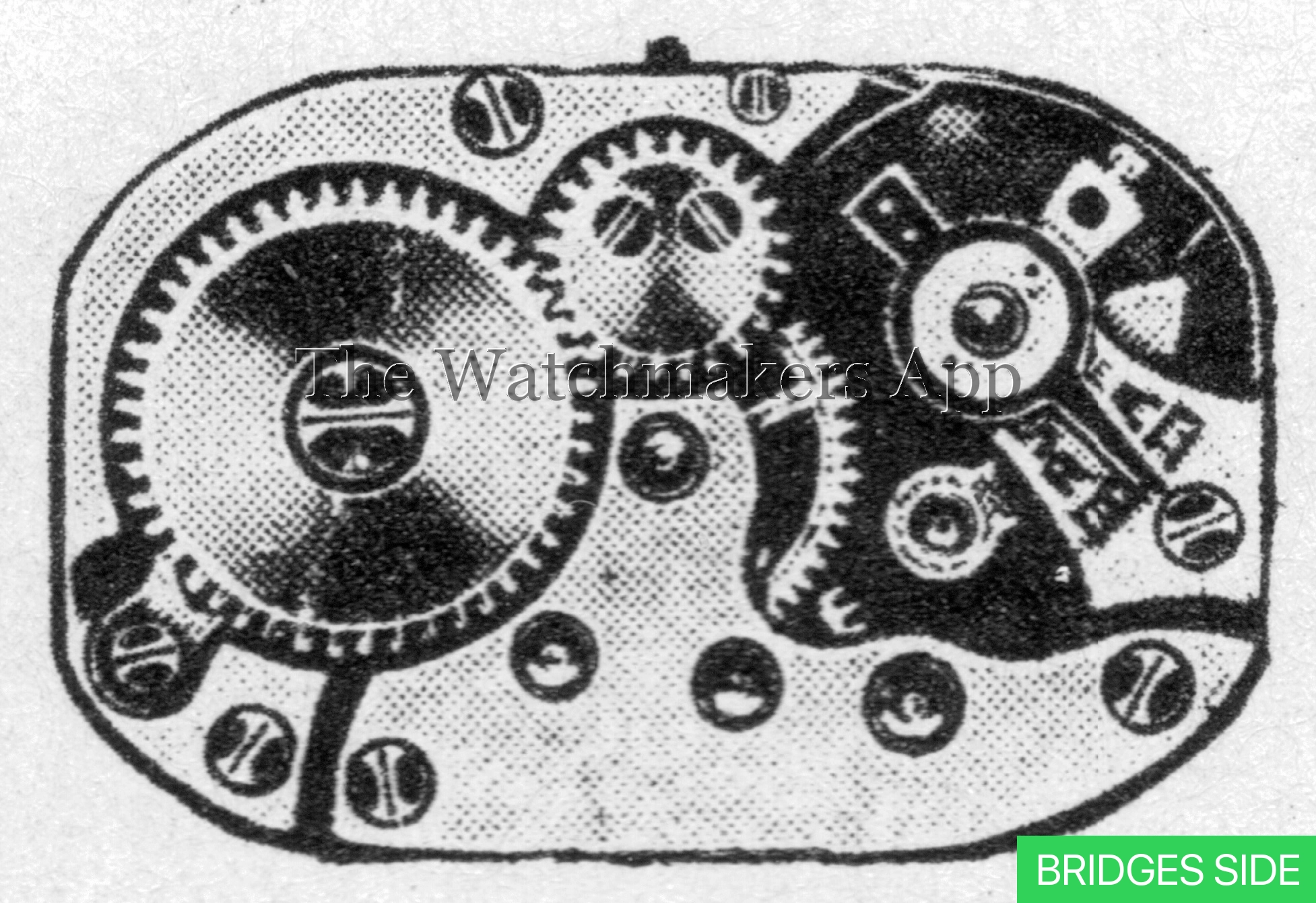Venus 55A