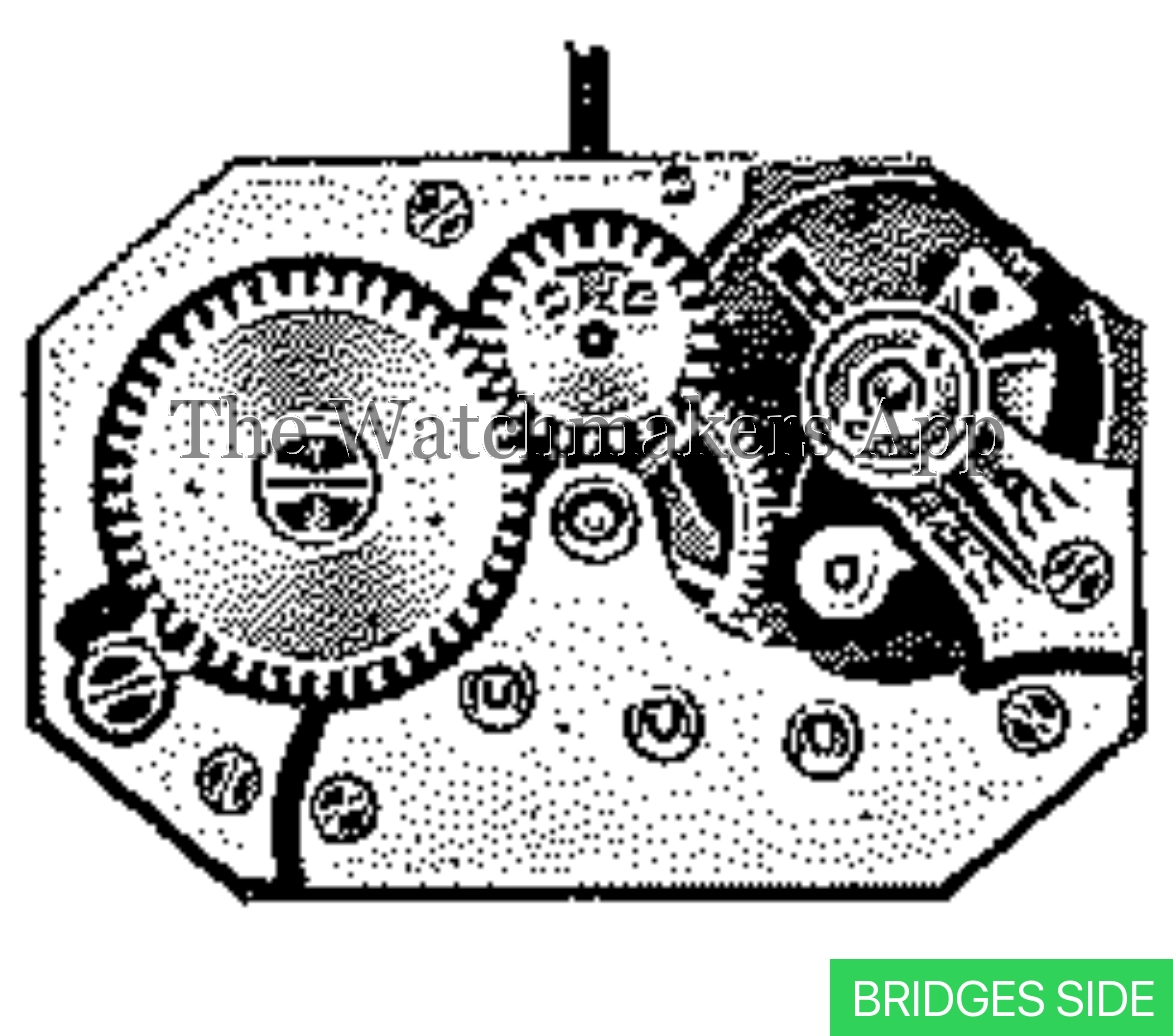Venus 58
