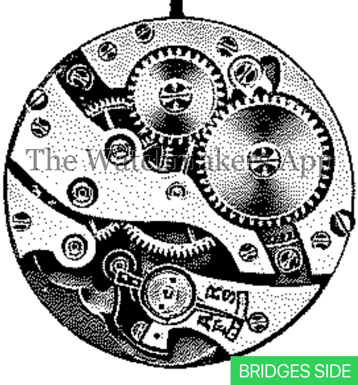 Venus 75