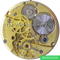 Zenith 106-50-6