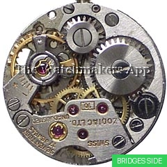 Zodiac 10