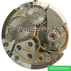Zodiac 19