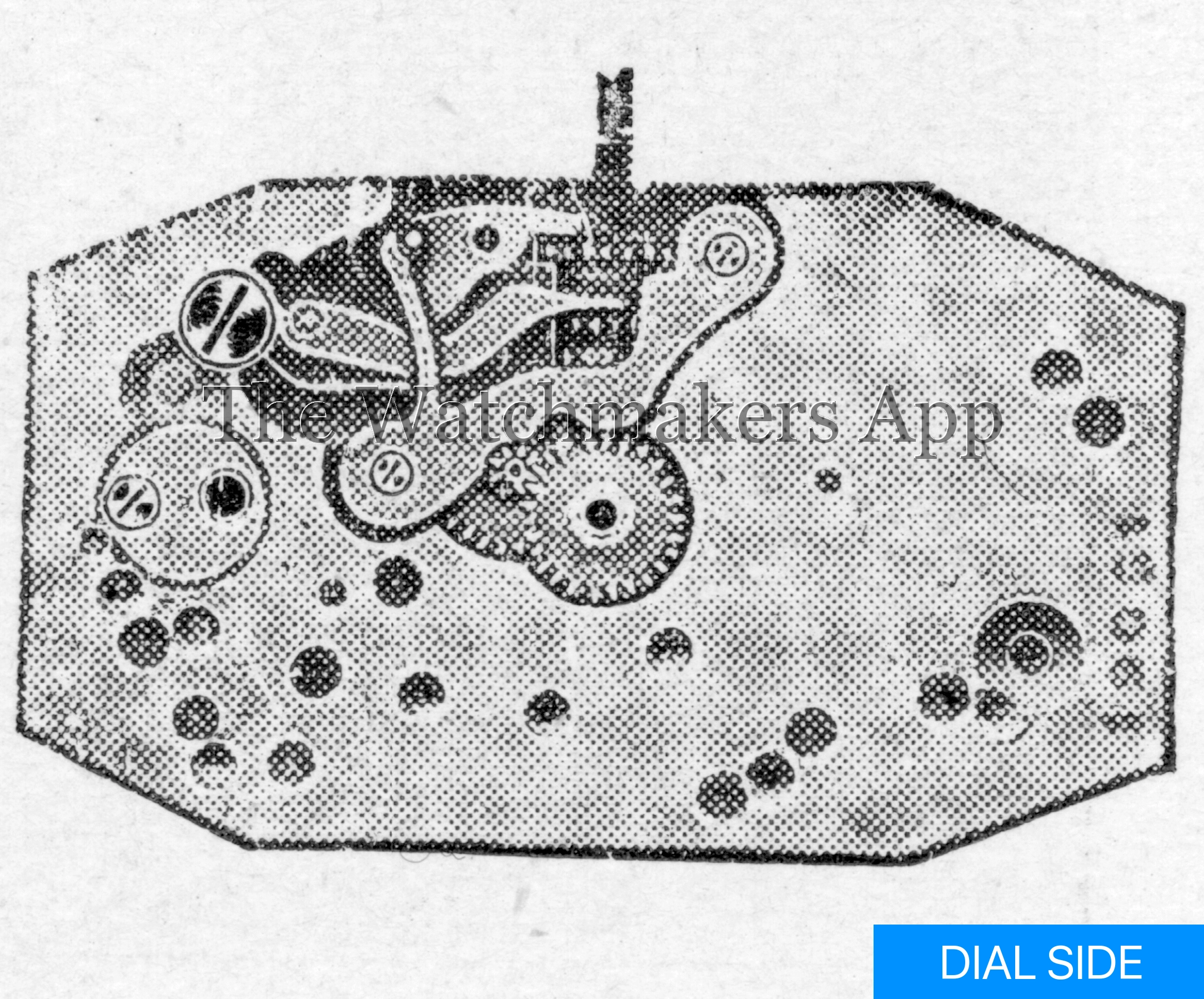 Aurore-Villeret 9 Pateck rectangle