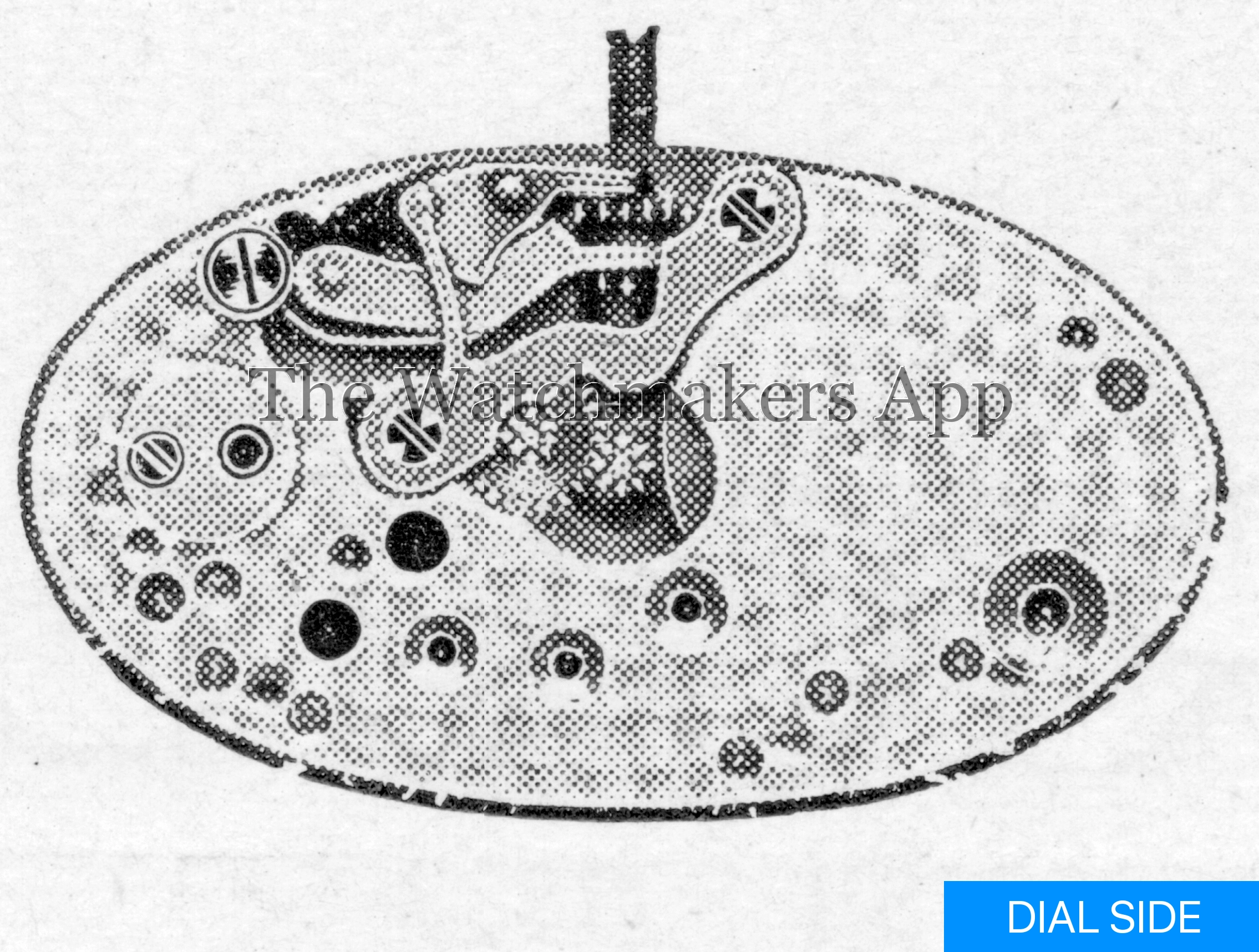 Aurore-Villeret 9 ovales