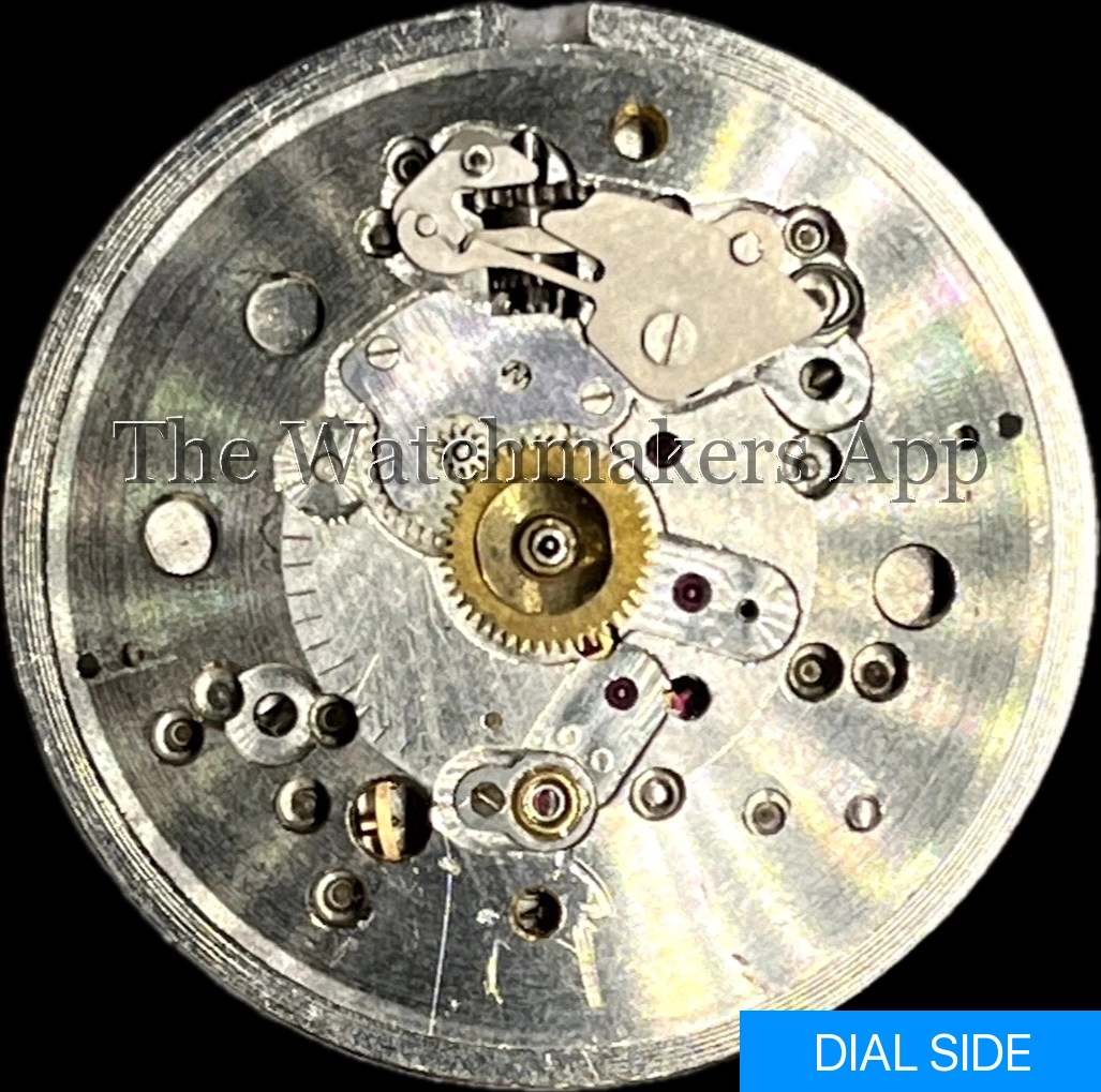Doxa 1147