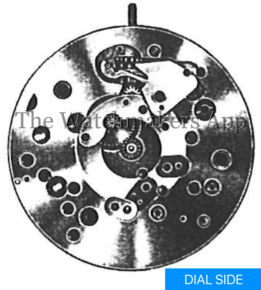 ETA 1115