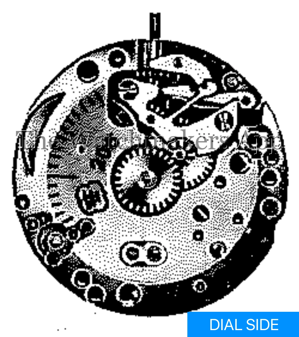 FHF 206